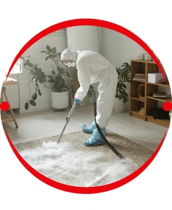 Carpet Sanitising and Deodorising